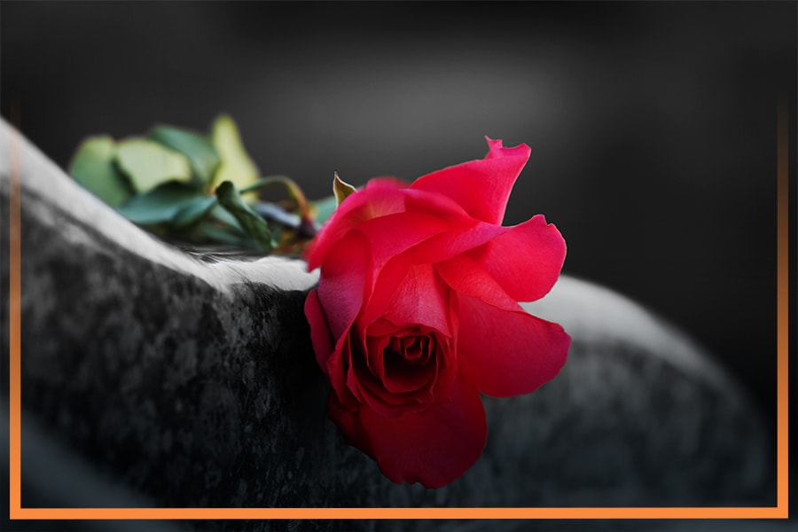 Rose-on-a-tombstone